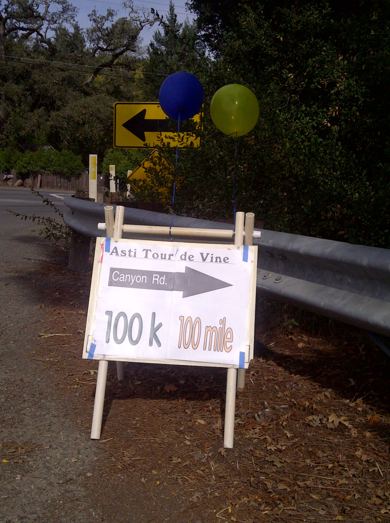 Asti Tour De Vine Route Sign (Linda C)