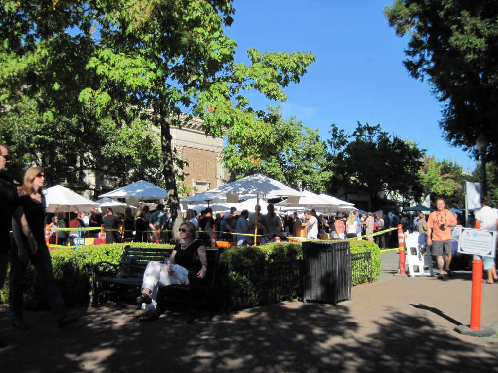 Crowds on Plaza Street - Pinot Festival (Linda C)