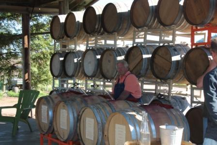 Richard Mounts and Barrels @ Mounts Family Winery (Linda C)