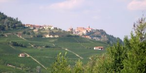 Tasting Barolo in the Piemonte – the Langhe