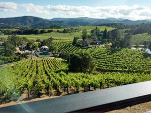 North Coast Wine Country is open for business